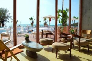 Epidamn White Sensation